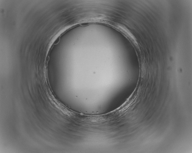 X0000076091340200610152309