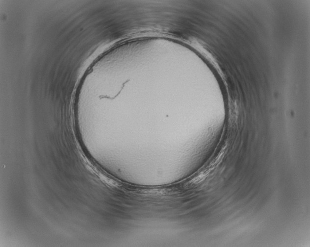 X0000076091341200610152309