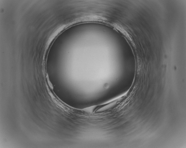 X0000076091342200610152309