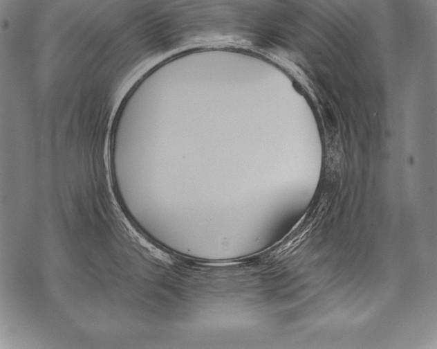 X0000076091343200610152309