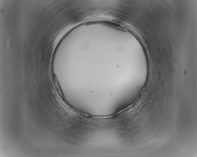 X0000076091344200610152309