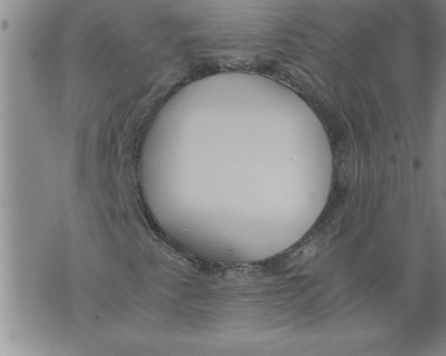 X0000076091345200610152308