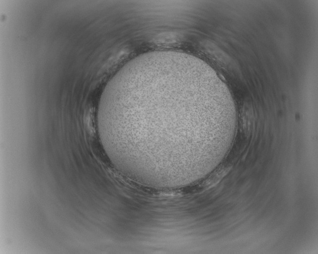 X0000076091346200610152308