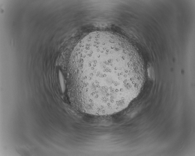 X0000076091347200610152308