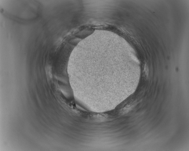 X0000076091348200610152308