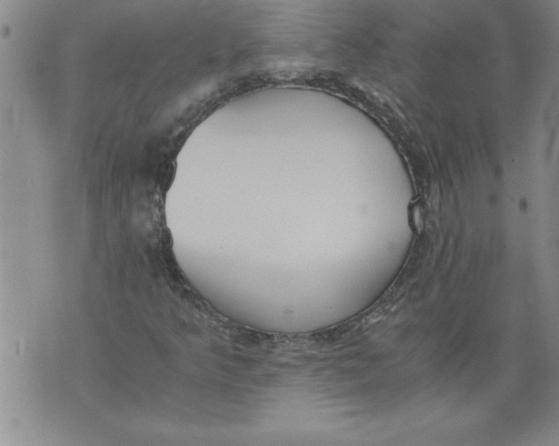 X0000076091349200610152308