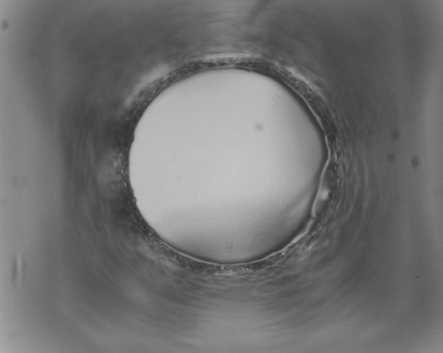 X0000076091351200610152308