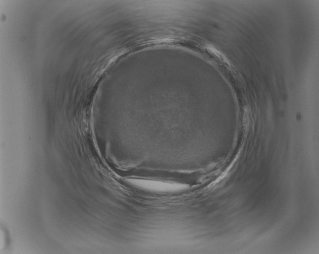 X0000076091353200610152308