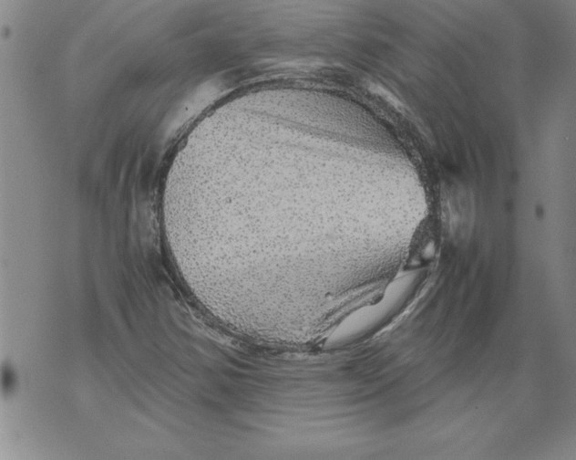 X0000076091354200610152308