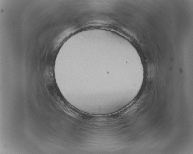 X0000076091355200610152308