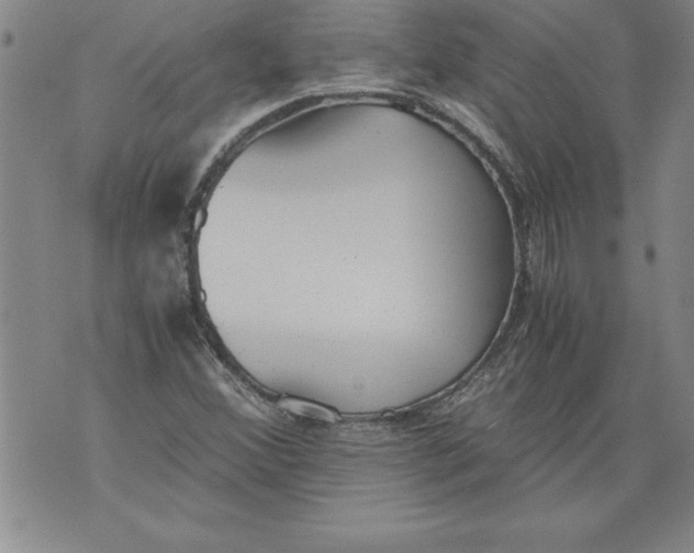 X0000076091356200610152308