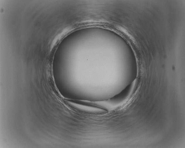 X0000076091357200610152308