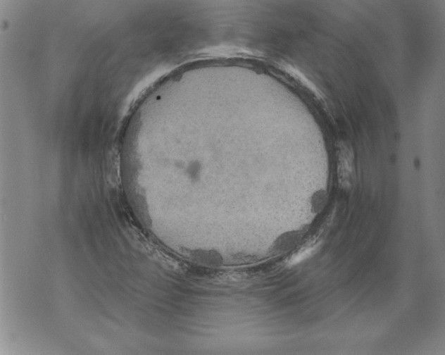 X0000076091358200610152308