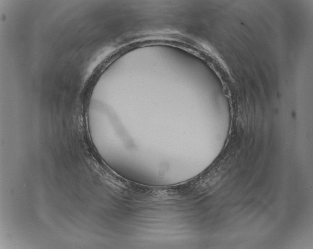 X0000076091360200610152308