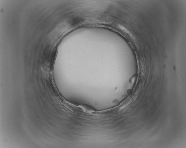 X0000076091361200610152308