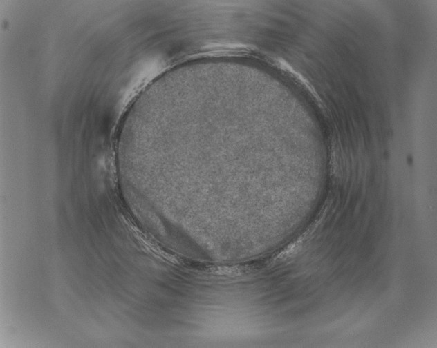 X0000076091362200610152308