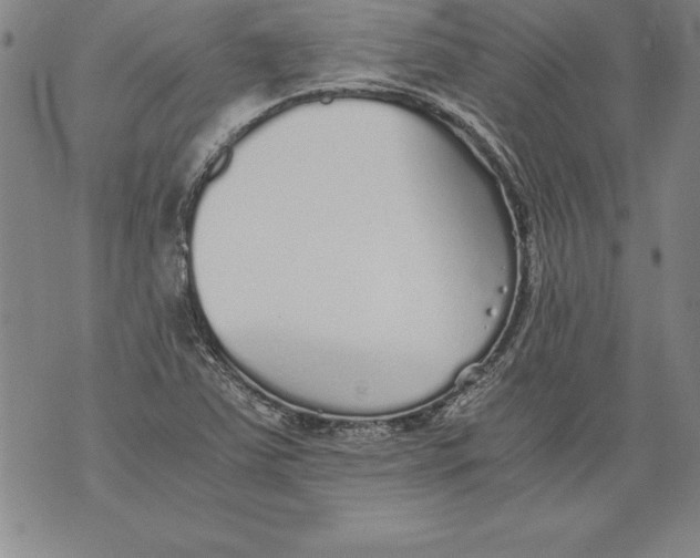 X0000076091363200610152308