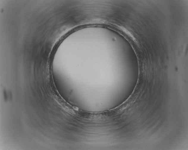 X0000076091364200610152308