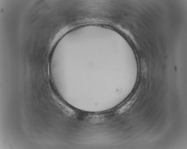 X0000076091365200610152308