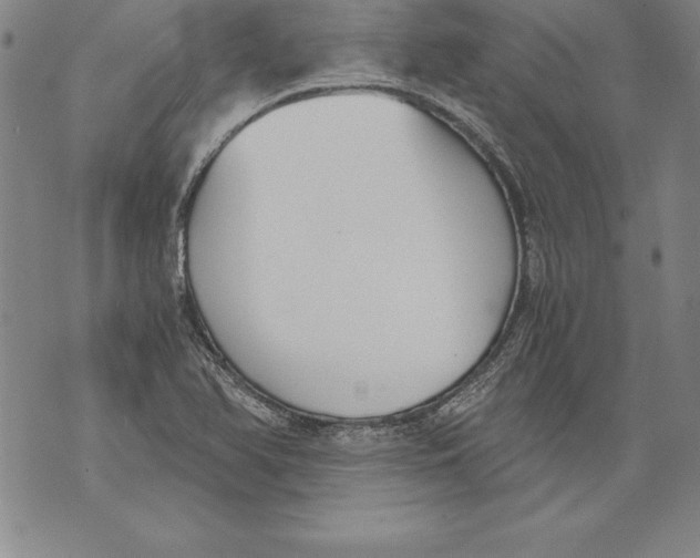 X0000076091366200610152308