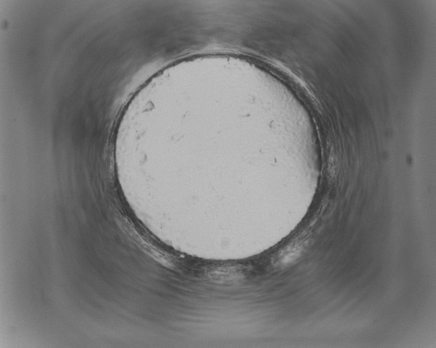 X0000076091367200610152308