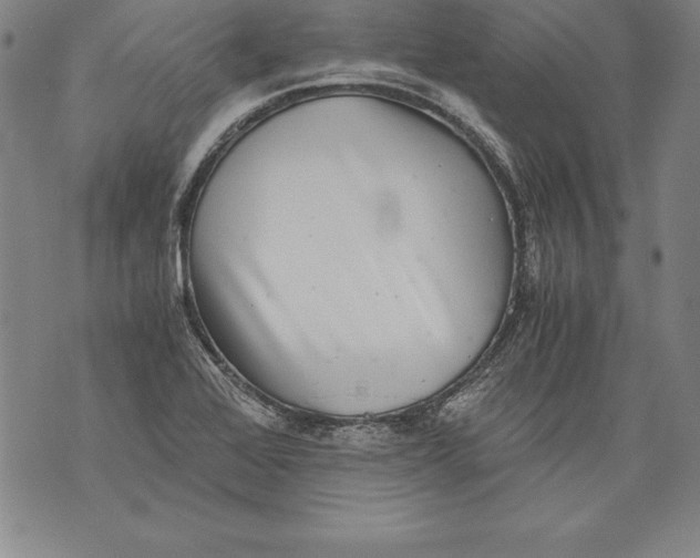 X0000076091368200610152308