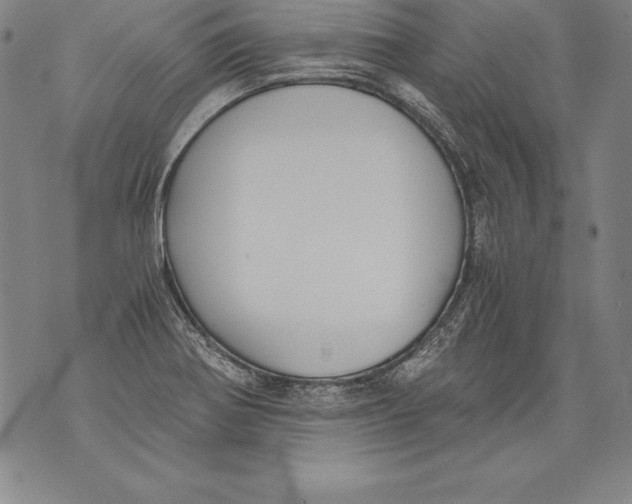 X0000076091370200610152308