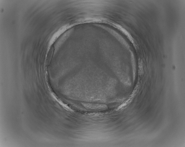 X0000076091373200610152308