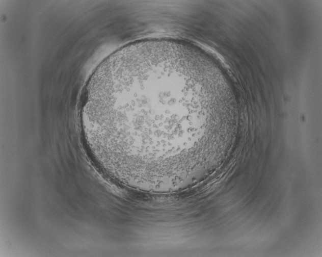 X0000076091375200610152308