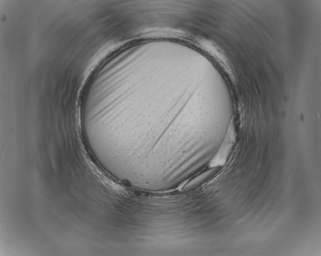 X0000076091376200610152308