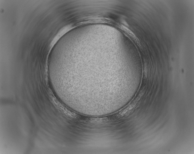 X0000076091378200610152307