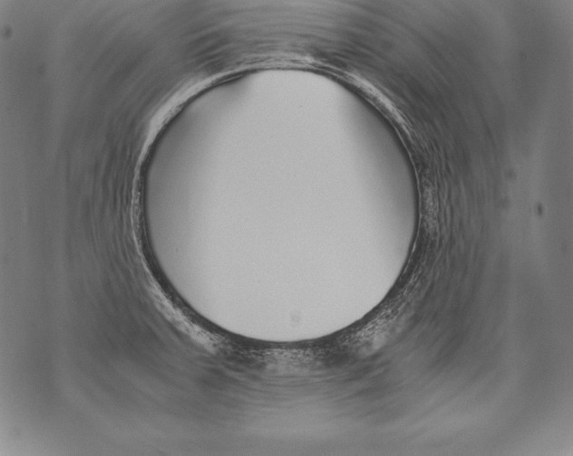 X0000076091379200610152307