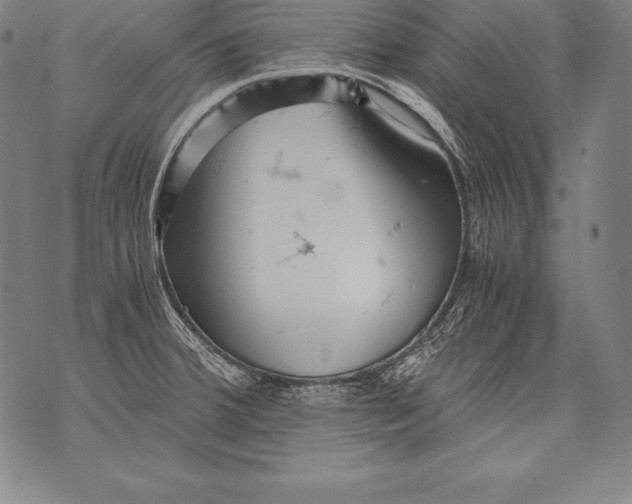 X0000076091380200610152307