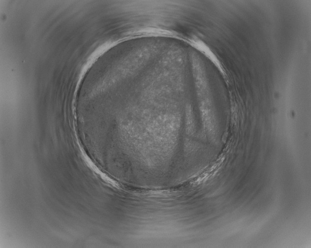 X0000076091381200610152307