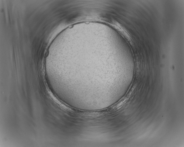 X0000076091382200610152307