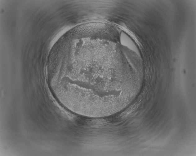 X0000076091383200610152307