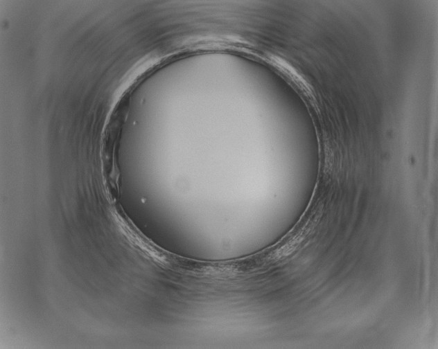 X0000076091384200610152307