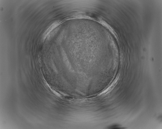 X0000076091385200610152307