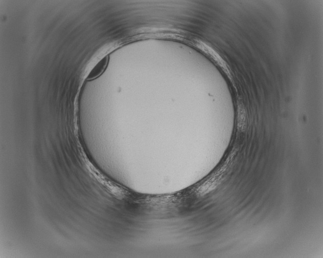 X0000076091386200610152307