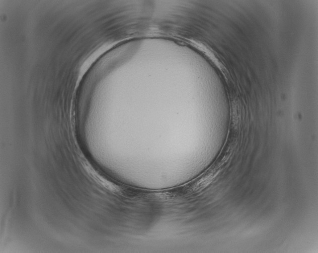 X0000076091387200610152307