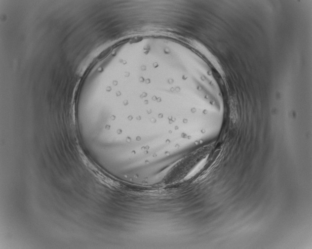 X0000076091388200610152307