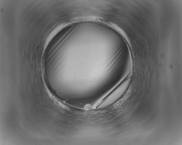 X0000076091389200610152307