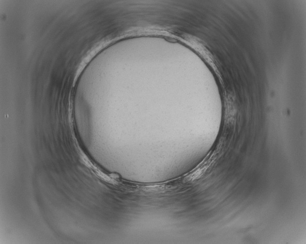 X0000076091390200610152307