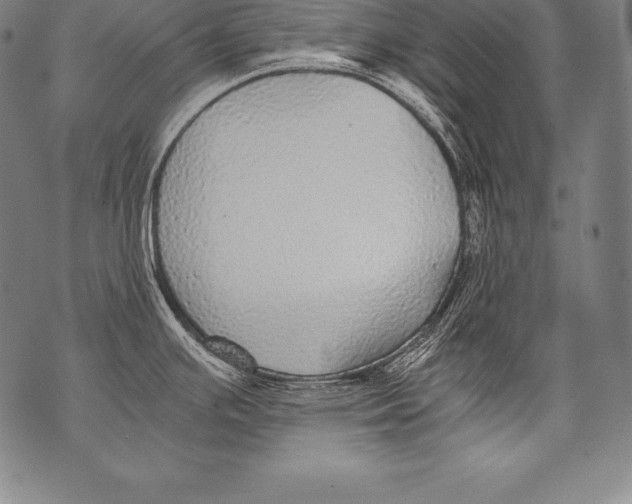 X0000076091391200610152307