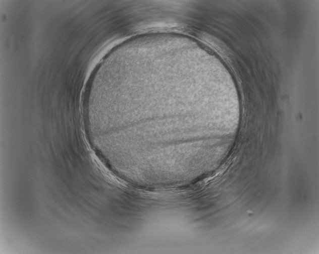 X0000076091392200610152307