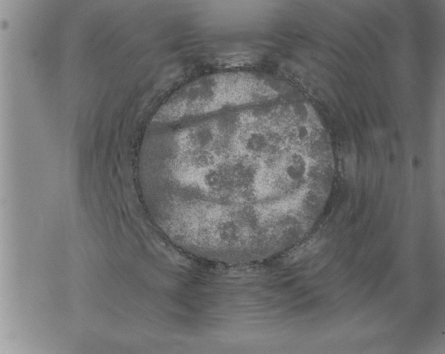 X0000076091393200610152306