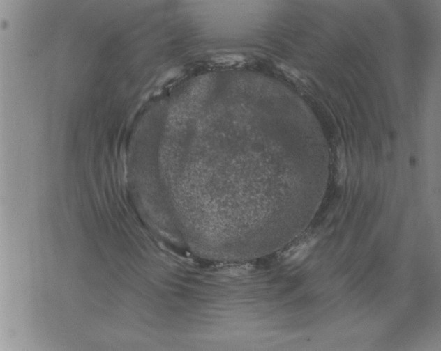 X0000076091394200610152306