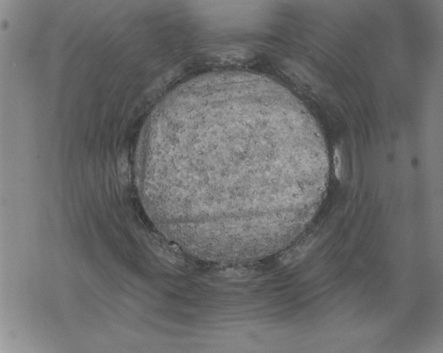 X0000076091395200610152307