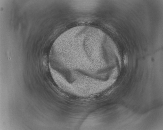 X0000076091396200610152307