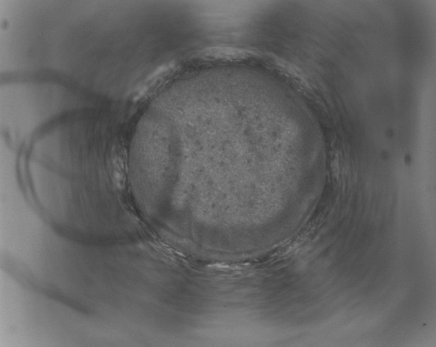 X0000076091397200610152307